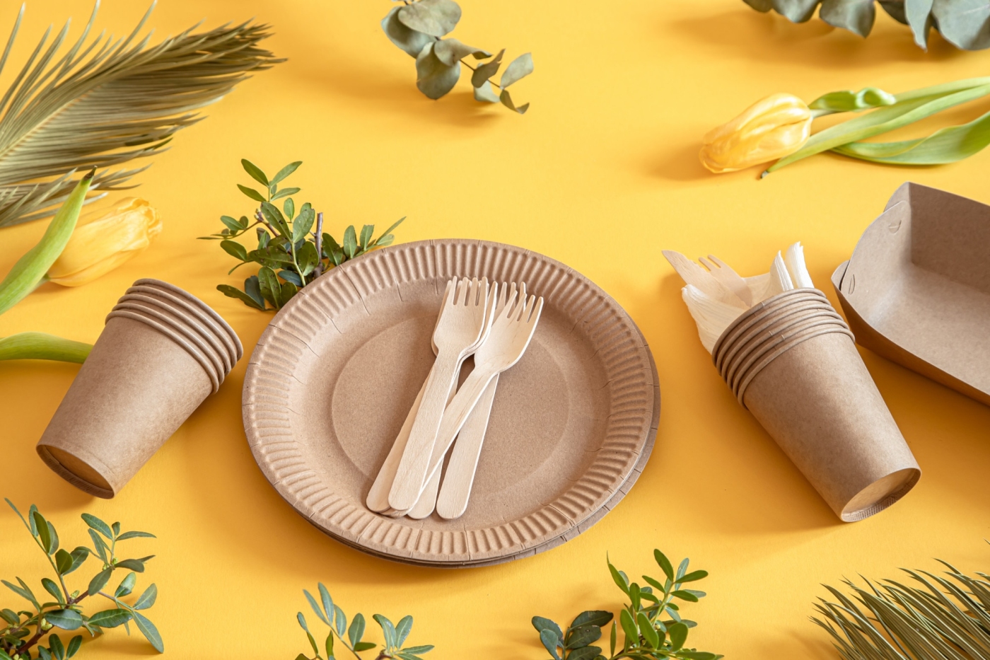 Premium quality disposable products - paper plates, cups, and wooden cutlery